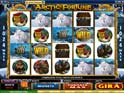 Arctic Fortune slot